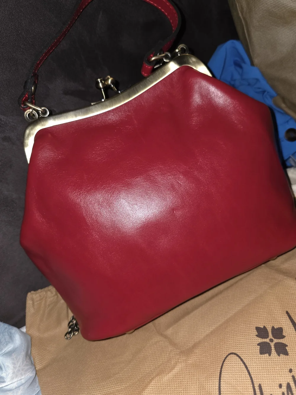 Patricia Nash Red Leather Crossbody Bag